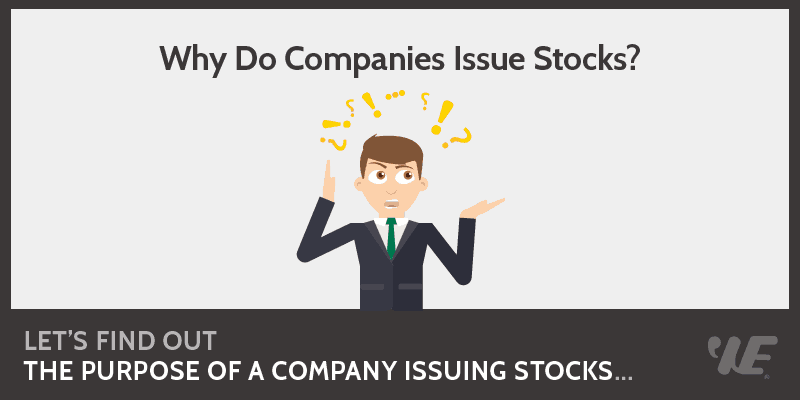 what-is-the-purpose-of-a-company-issuing-stock